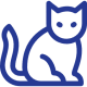 black-cat